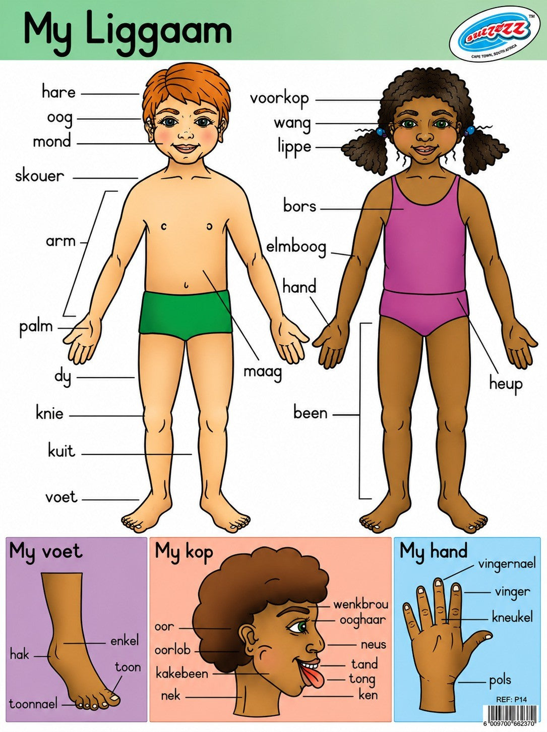 Educational chart showing body parts of a boy and a girl with labels in Afrikaans