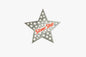 Star-shaped object with 'Silver Star' text on a white background
