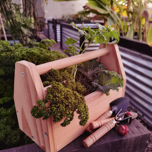 Introduce your little one to the wonderful world of gardening in a fun and tactile way with our Little Gardener's Box