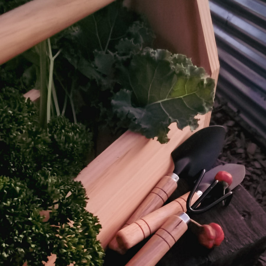 Introduce your little one to the wonderful world of gardening in a fun and tactile way with our Little Gardener's Box