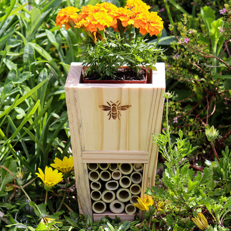 Insect Hotel DIY